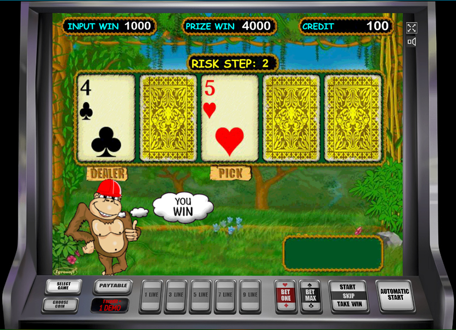 Риск-игра Crazy Monkey